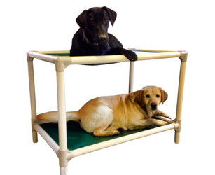 Two dogs resting on a Kuranda Bunk Bed with Almond Frame, one dog on the top level and one dog on the bottom level.