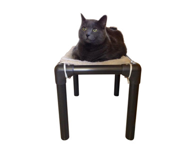 Cat resting on top a Kuranda Cat Bed with walnut frame